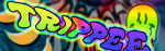 dgfs.png